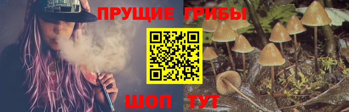 Лабытнанги  Псилоцибиновые грибы Psilocybine cubensis  Вход с VPN 